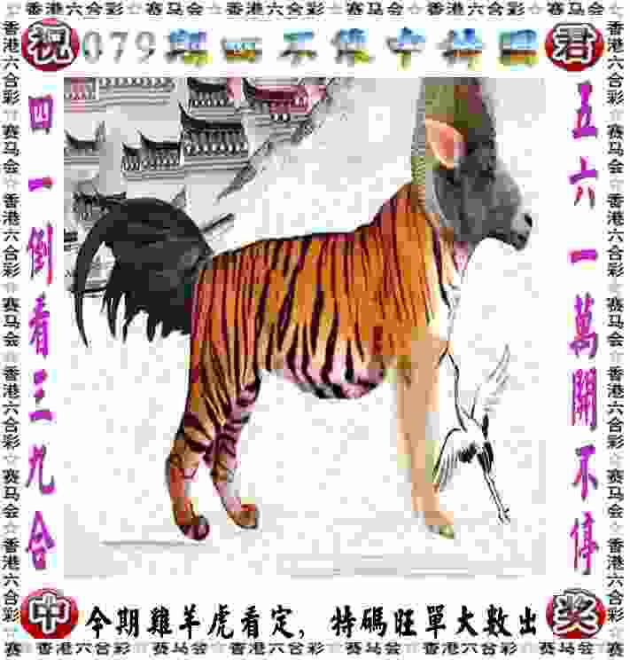 2018首届安徽省青少年体育嘉年华将开启